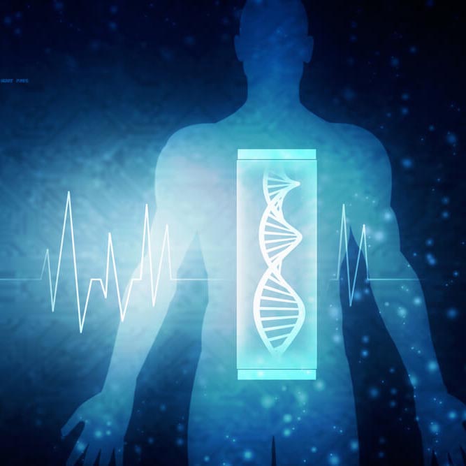 chromosome-analysis-body-blue