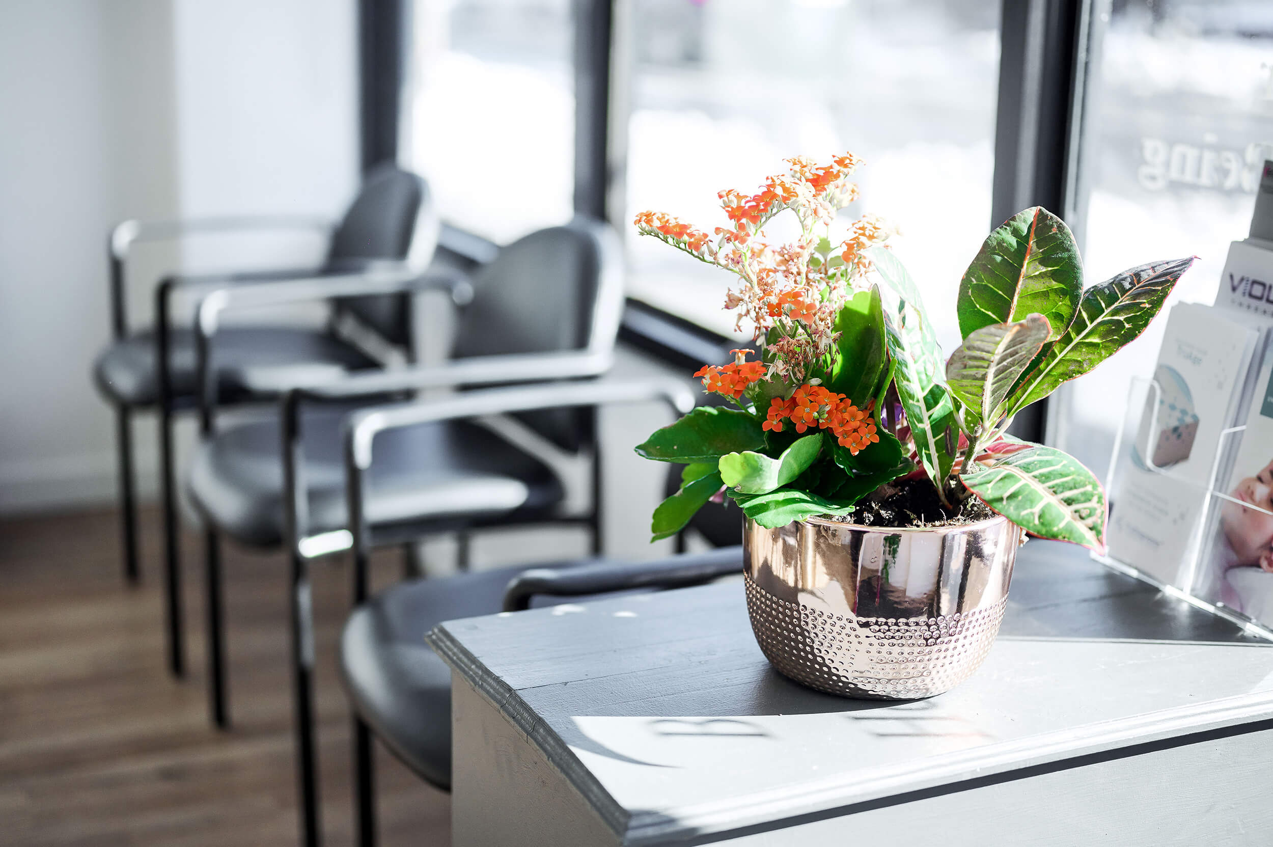 indoor-plant-with-flowers-inside-integrated-internal-medicine-clinic-queens-ny